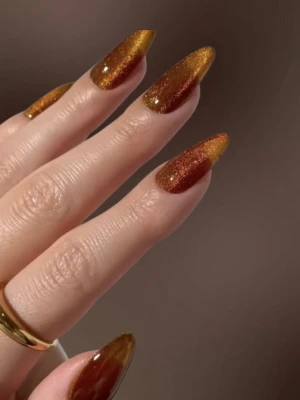 Cinnamon Spice Tips Nails