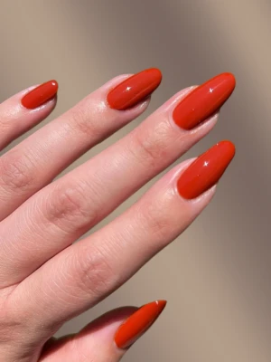 Rusty Red Nails