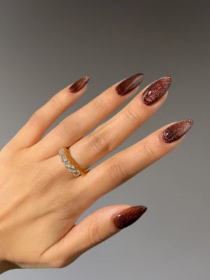 Magnetic Brown Nail Polish Manicure