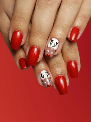 Rudolf Nail Art