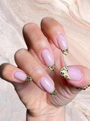 Animal Print

