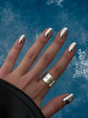 Silver Short Winter Nails