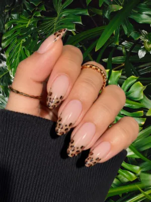 Elegant Leopard Print French Tip Nails